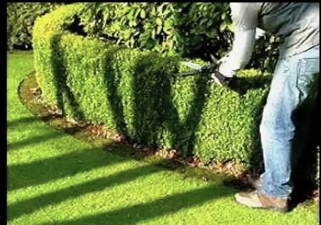 Обслуживание территории вашего сада