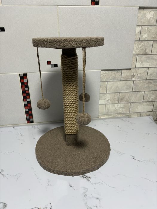 Когтеточка