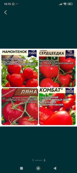 Рассада  огурцов,томатов, перца, баклажан