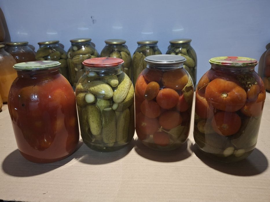 Продам  солонину