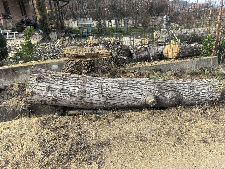 Продавам Орехови трупи