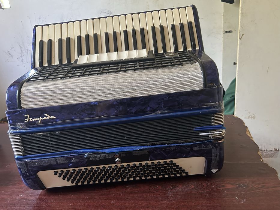Аккордеон Баян Алматы