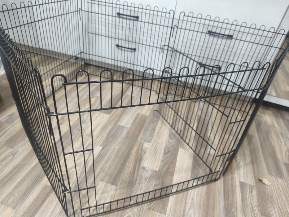 Вольер для котят