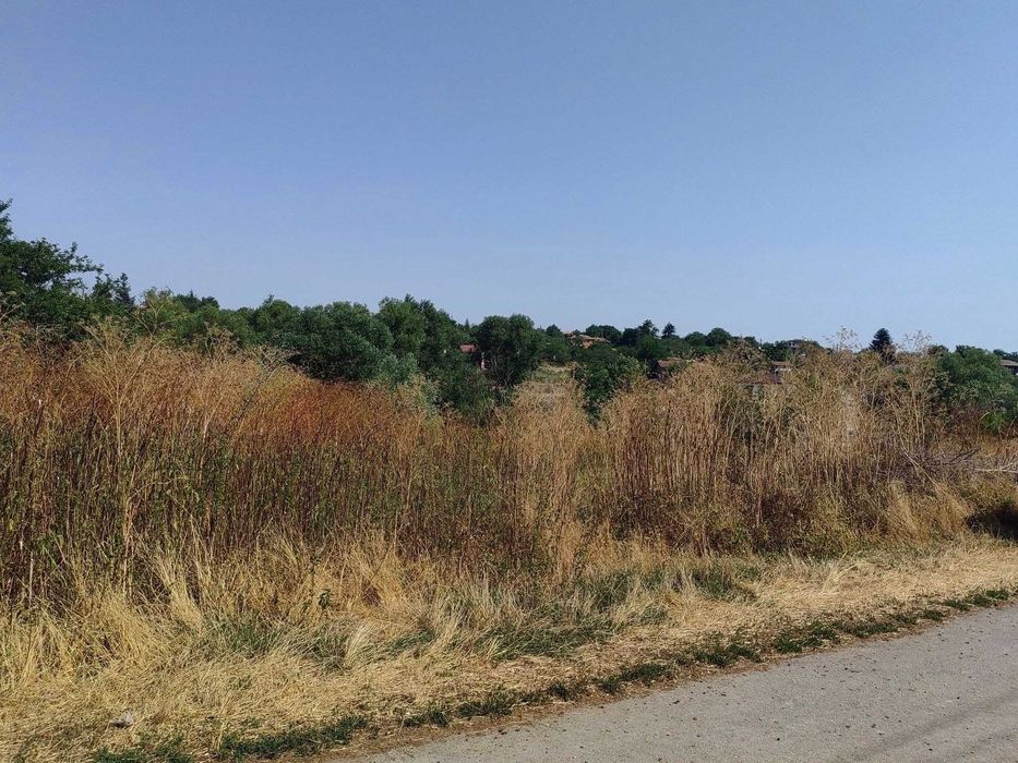 Продава се Парцел в с. Изгрев, Област Варна - 3000 кв.м за 33 €/кв.м - Снимка #6