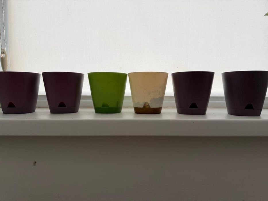 горшки для растений