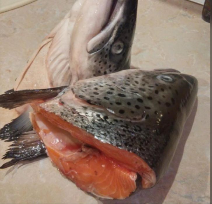 Замороженные брюшки семги