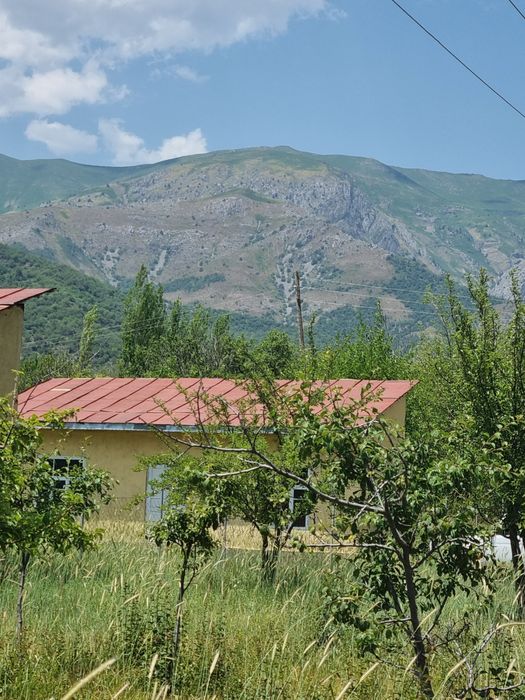 Srochno, Uy sotiladi, 6 sotix, Sijjak