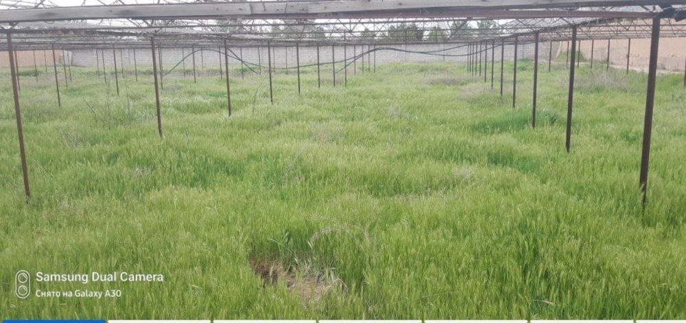 СРОЧНО ЭГАДАН 10 соток кадастри билан !!!