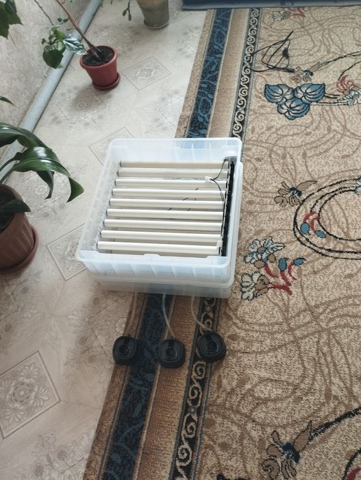 Инкубатор автоматический,