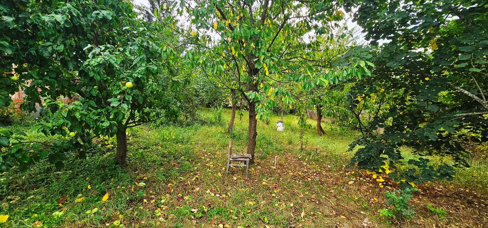 Продава се Къща в с. Прибой, Област Перник - 274 кв.м за 420 €/кв.м - Снимка #12