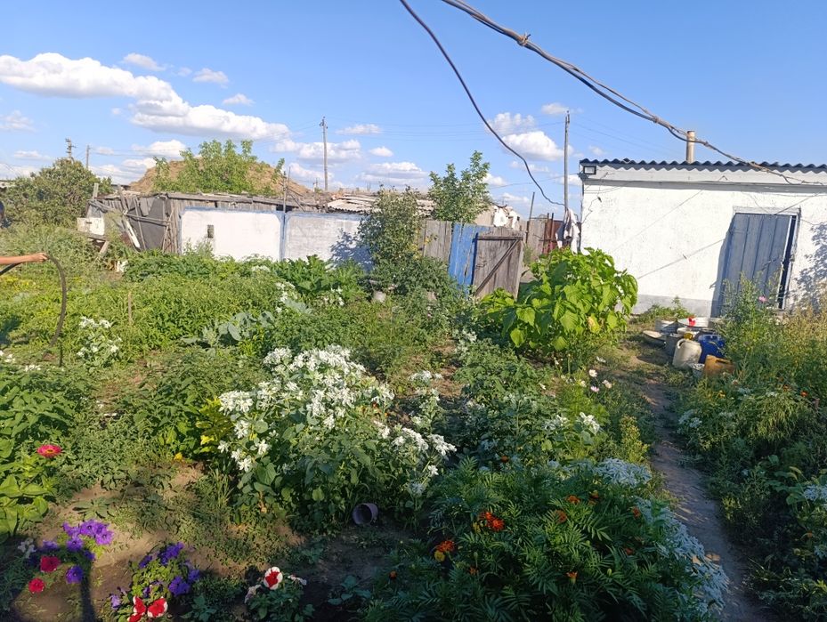 Частный дом, поселок заря