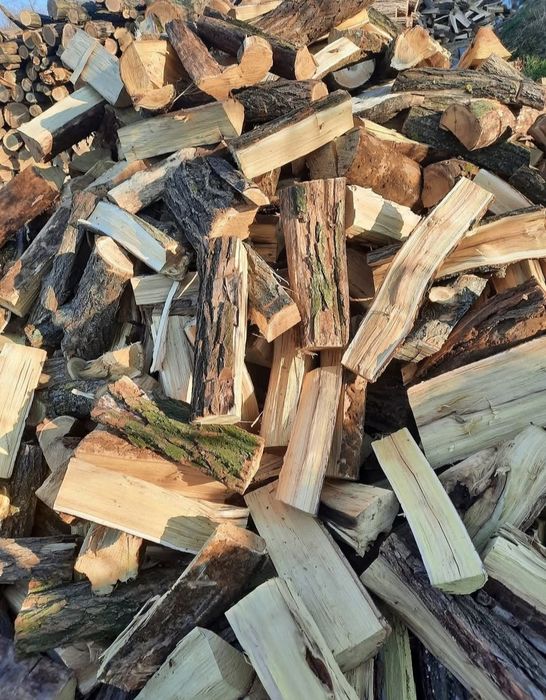 Lemn de foc salcâm uscat sau verde 700 lei tona 400 lei m ster