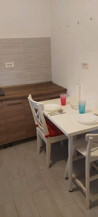 Garsonieră cu curte proprie – Young Residence, Popesti-Leordeni | Mobilată și utilată — fotografia 3