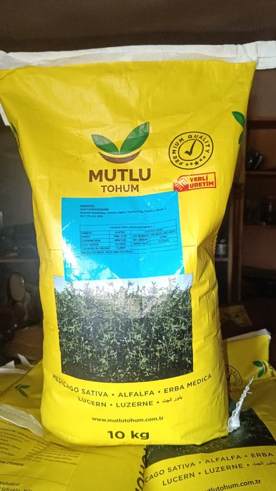 "Мутлу" жоңышқа ұрығы