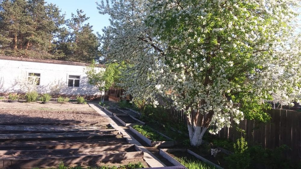 Дом на красном кордоне