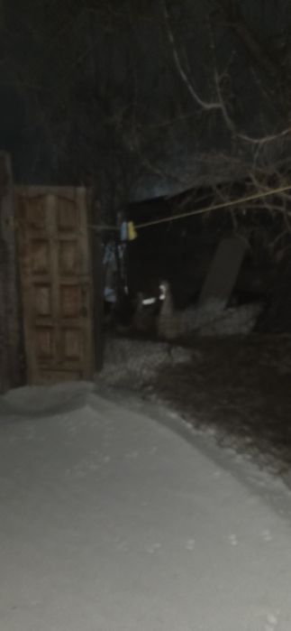 Гуси обмен на зерно