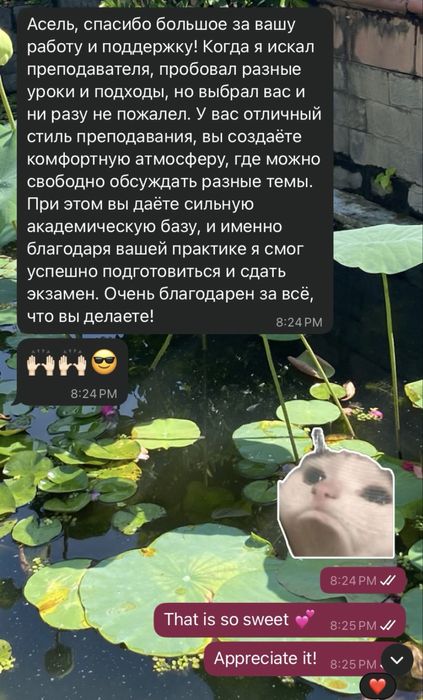 Репетитор английского и IELTS