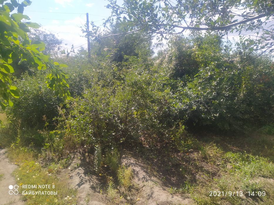 Продам участок Восточный 5 дачи, 6 соток