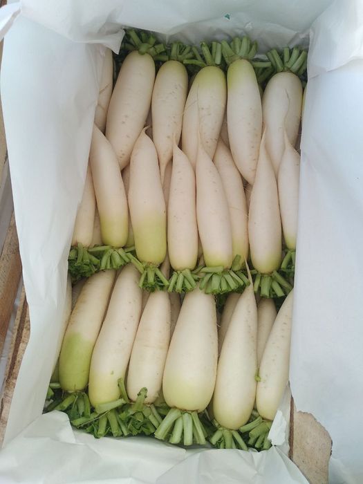 Xar xil turdagi Karamlarni yig'ib biramez katta abyobda Manzil surxand