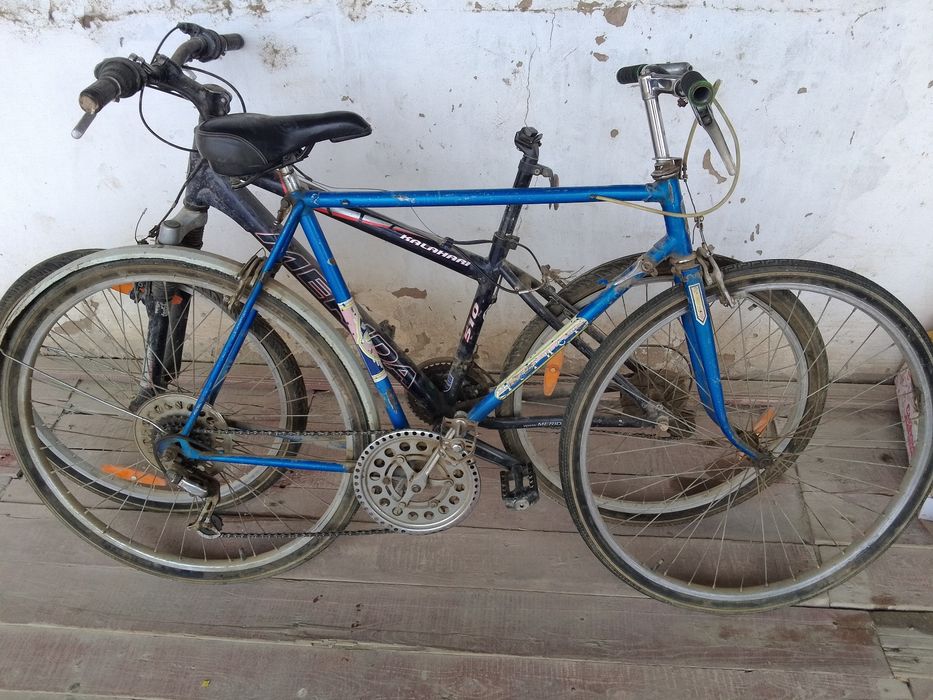 Velesaped rasiyadan kelgan