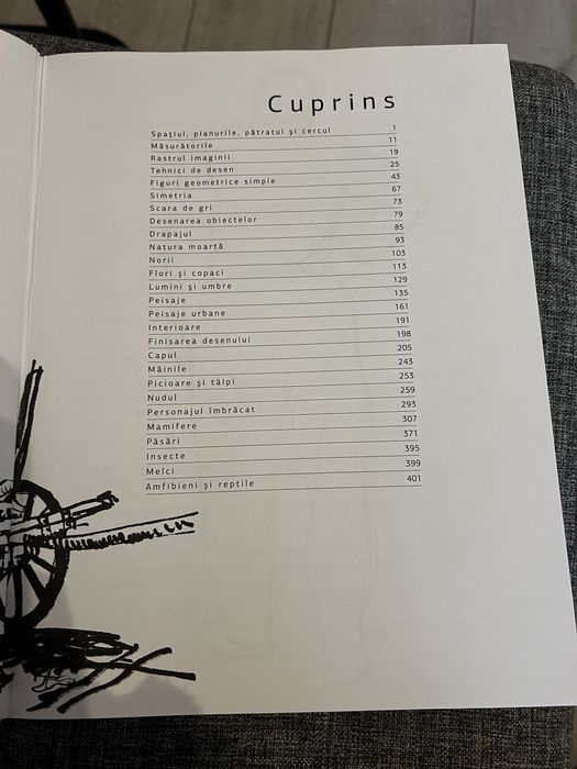 Școala de desen – András Szunyoghy – stare impecabilă