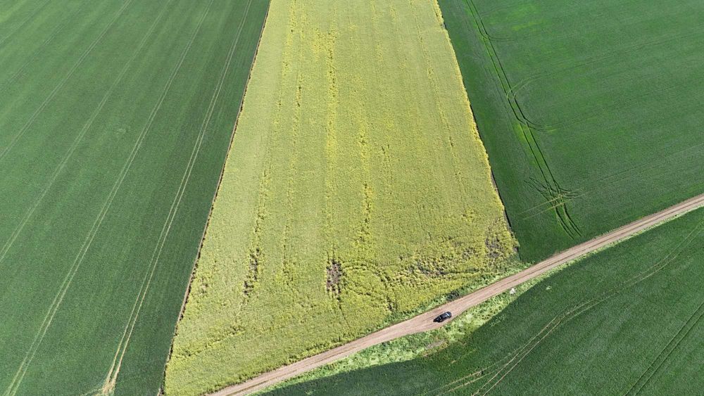 Vand teren extravilan Fundulea  83345 mp