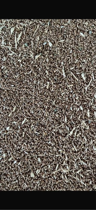 Зерно в мешках