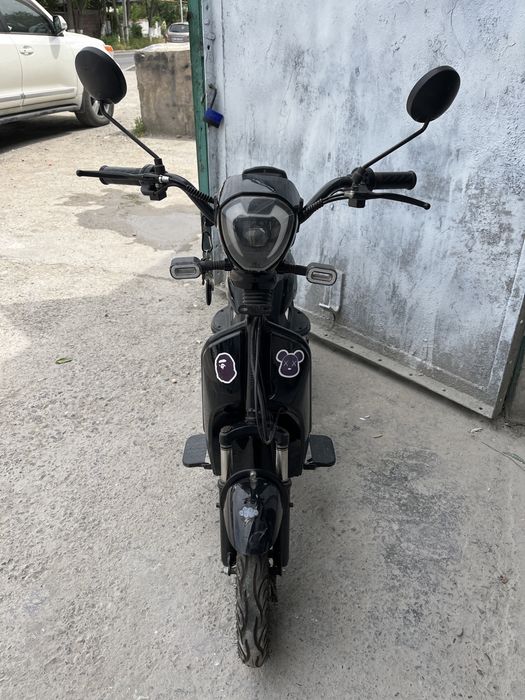 Leopard pro. 500 электронный