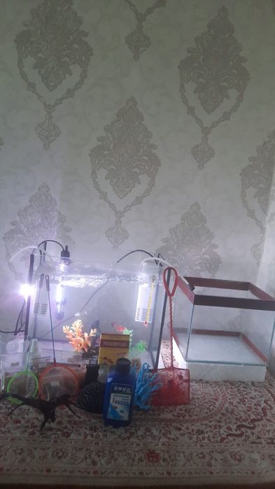2 Аквариум сатамын + балық