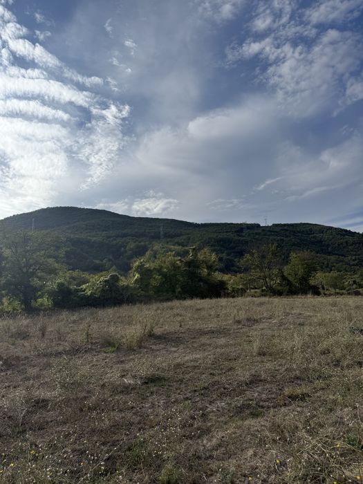 Teren Mehadia 4400 mp - 8 euro mp