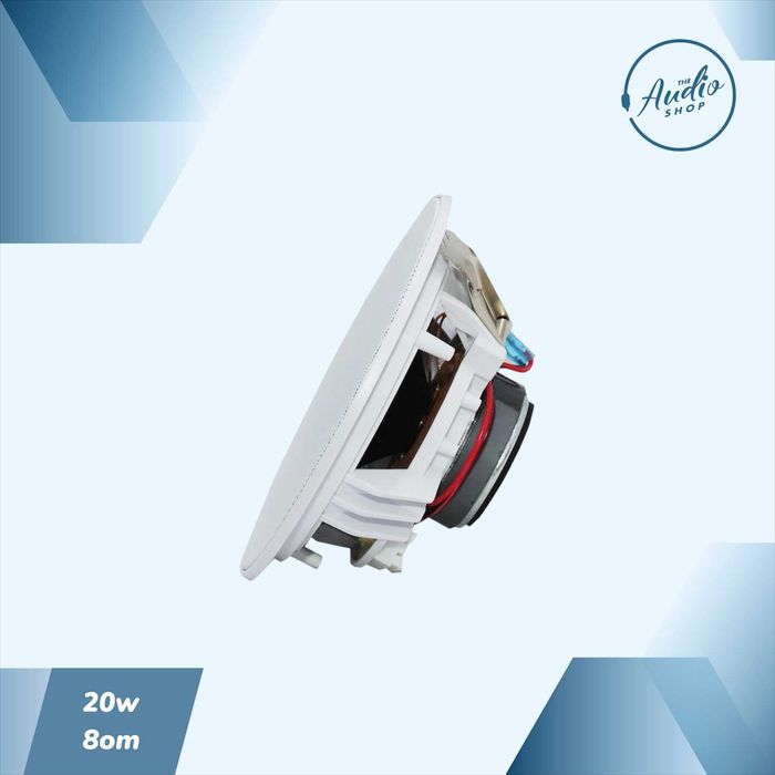 Пассивная потолочная колонка для фоновой музыки 20wat