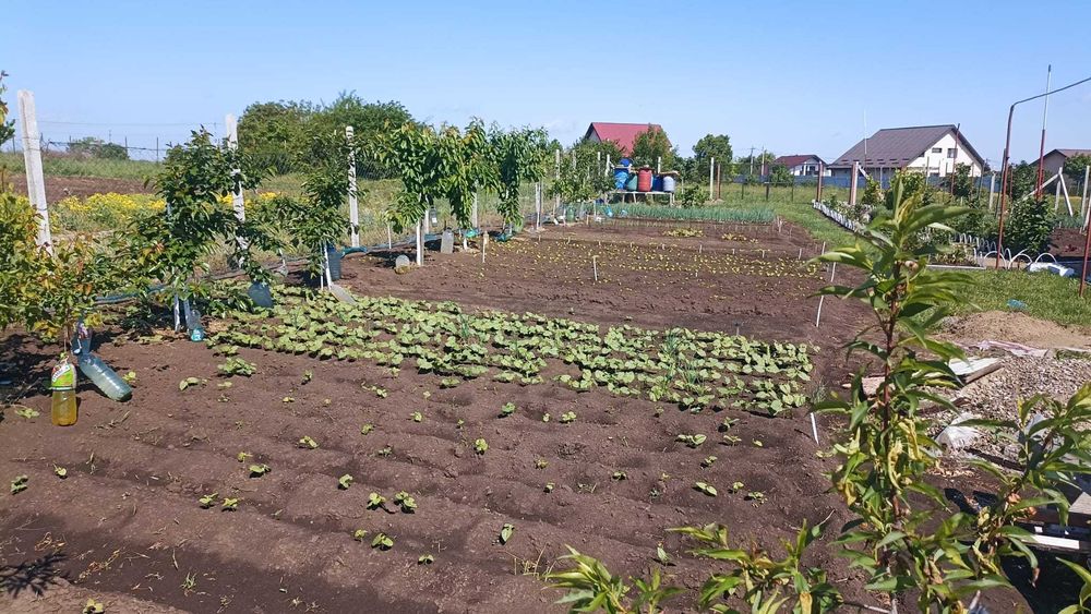 Teren Intravilan 470 mp – Horlești, Comuna Rediu (Proprietar)