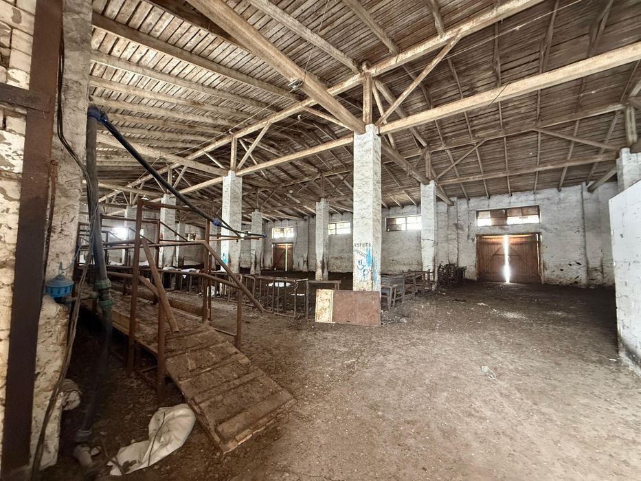 Продам крестьянское хозяйство