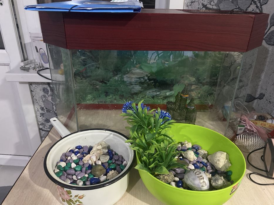 Аквариум с камушками и ракушками