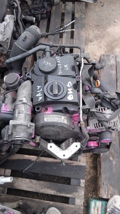 Motor complet fara anexe 1.4 tdi BMS Seat Ibiza 3 an 2008