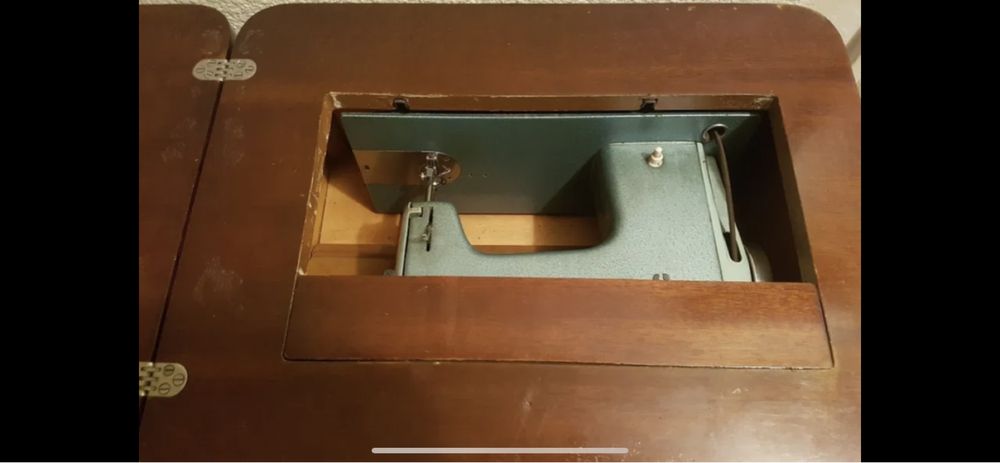 Maina de cusut  Veronica