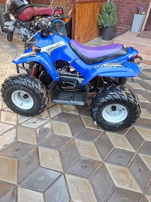 ATV Copii MZ DX 50