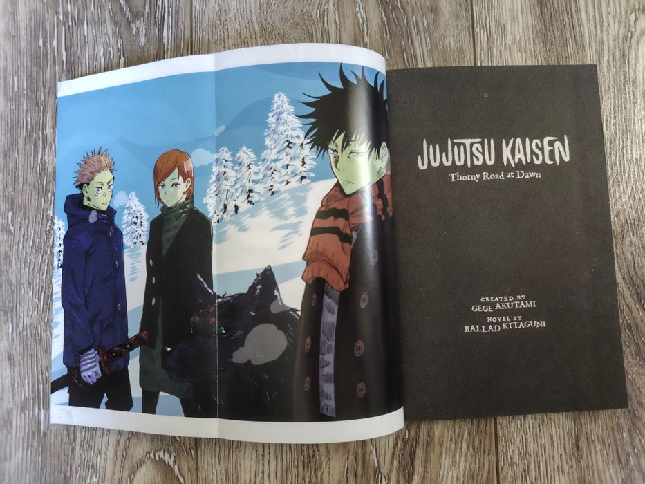 Jujutsu Kaisen Light Novels - eng; Volumes [Individuale, la alegere]