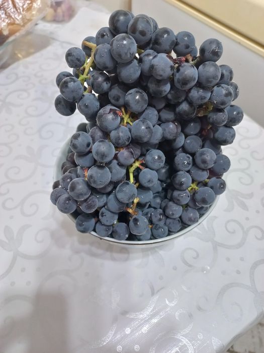 Продам дачу с домиком в районе Кривое озеро