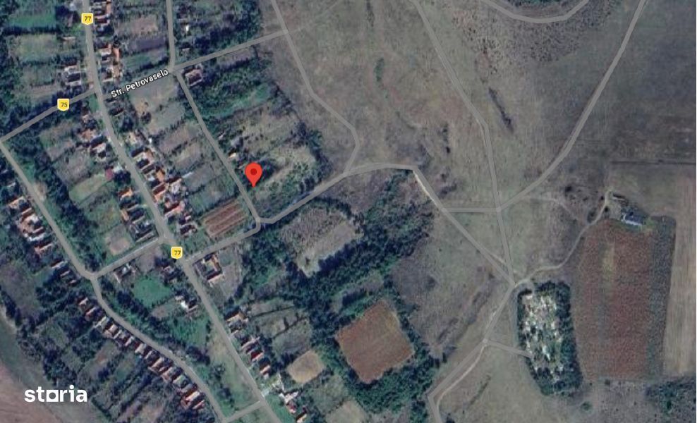 Cota de 3/4 din teren com. Topolovatu Mare, jud. Timis