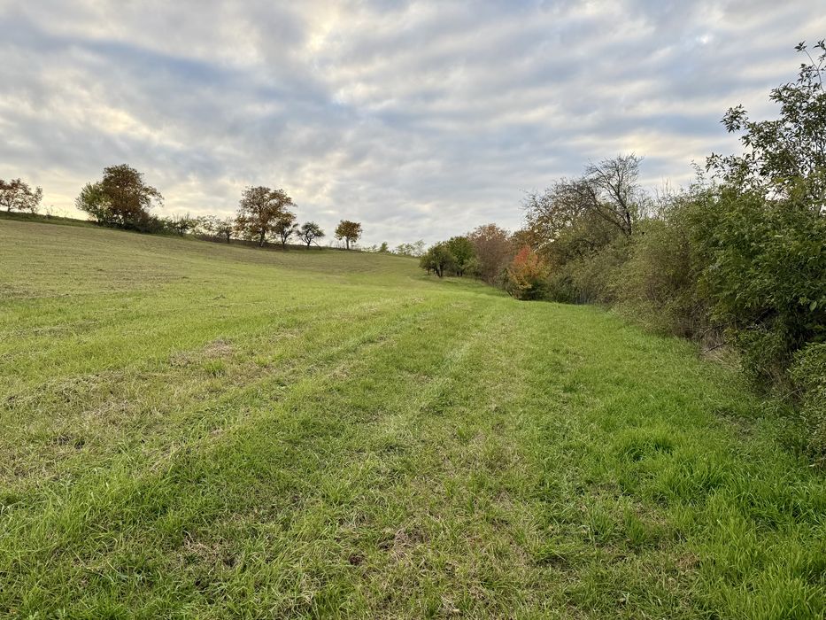 Teren intravilan de vânzare Cojocna