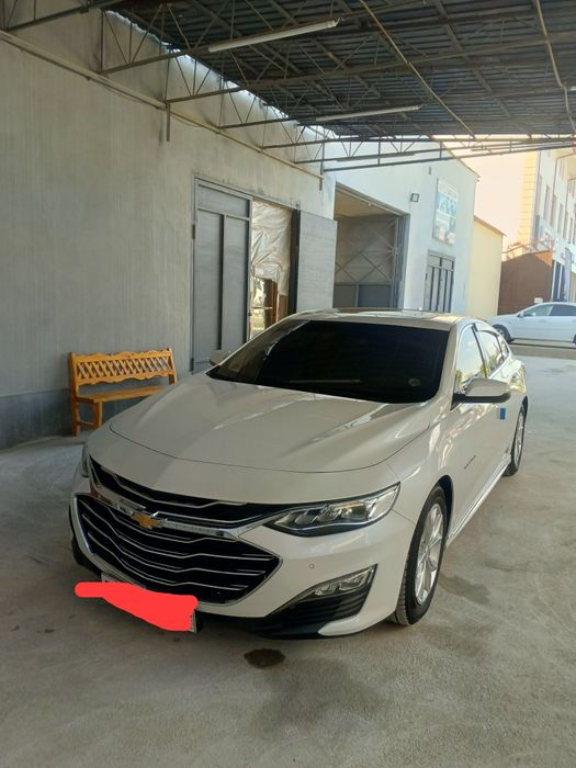 Maluba sotiladi xamma joyi yaxshi