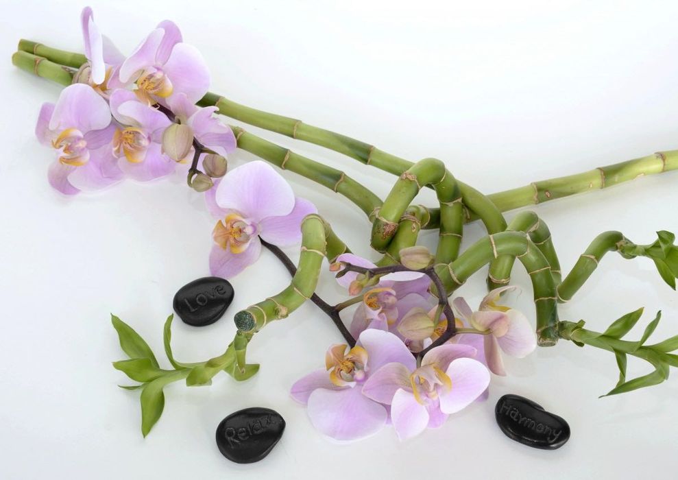 Masaj Terapeutic cu Pietre Vulcanice