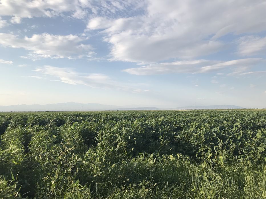 Земля 160 гектаров