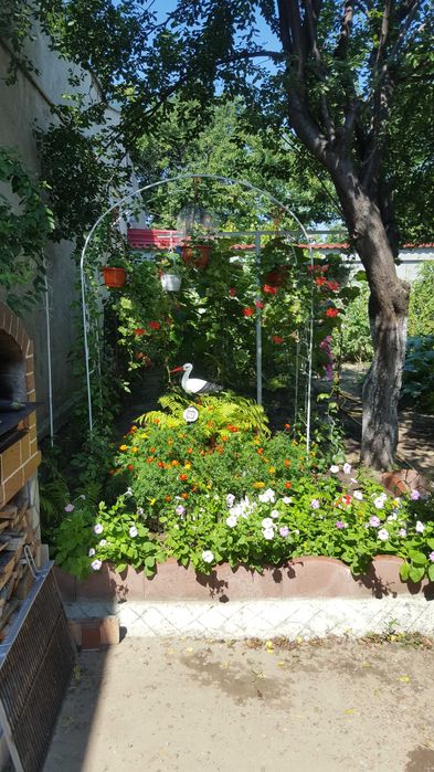 Casa de vinzare Str Rahova