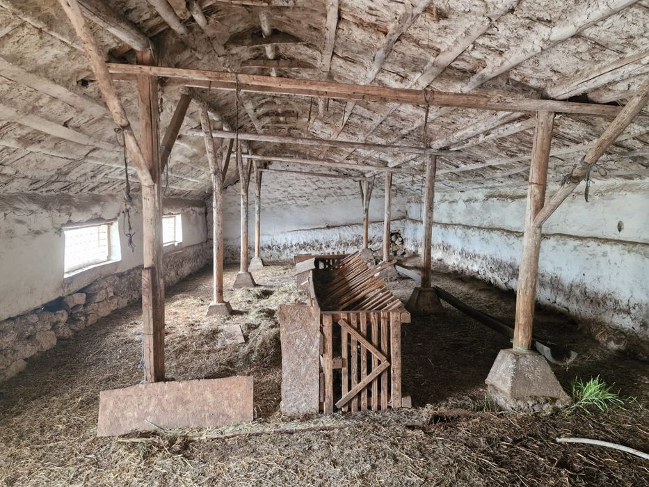 Ferma de vanzare in Cochirleni, Constanta