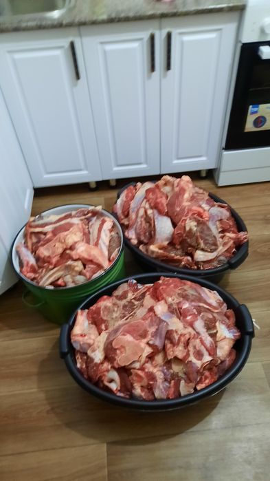 Тайынша етіп сатам.