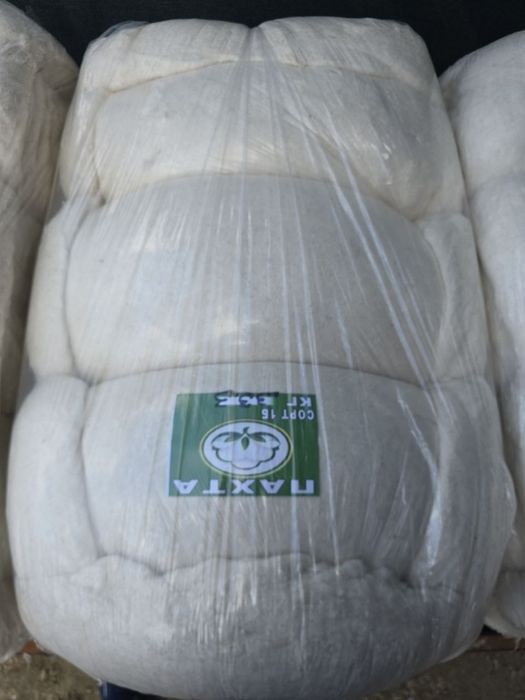 PAXTA. Tay Paxta Xojayli