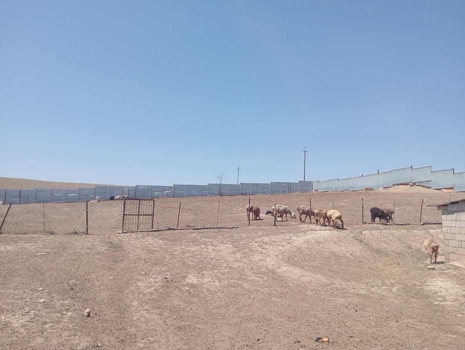 Фазенда 1 гектар