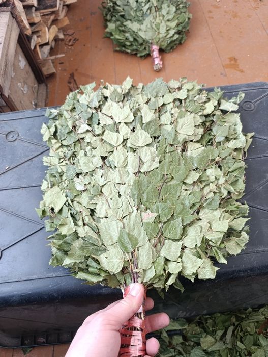 Продам веники банные